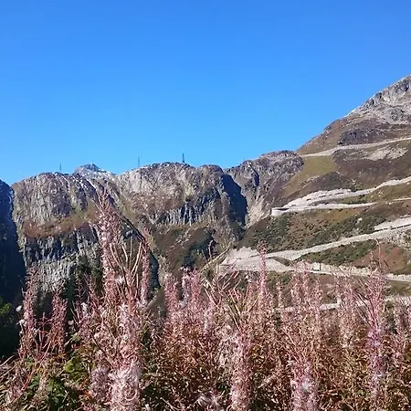 Garni Zimmermann 3* Reith bei Kitzbuehel