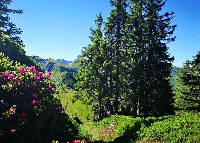 Garni Zimmermann Hotel 3*