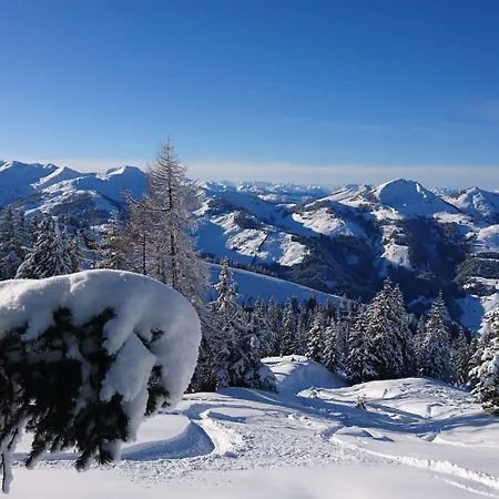 فندق Garni Zimmermann رين باي كيتزبوهيل