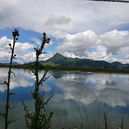 فندق Garni Zimmermann