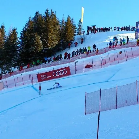 Garni Zimmermann 3* رين باي كيتزبوهيل