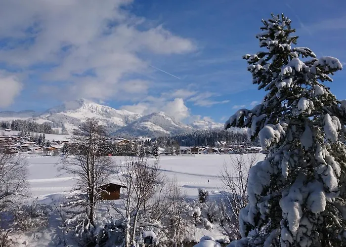 호텔 Garni Zimmermann 3*